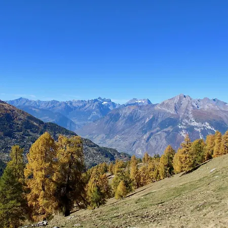 Spacious With View * Nendaz